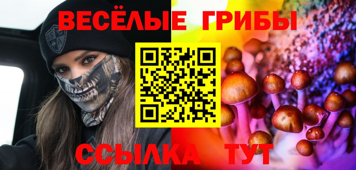 Псилоцибиновые грибы Psilocybine cubensis Ханты-Мансийск