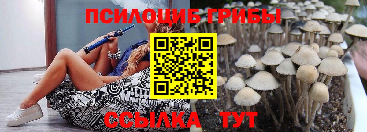 цена   Псилоцибиновые грибы Psilocybe  Псилоцибиновые грибы Cubensis  Вход с VPN  Ханты-Мансийск 