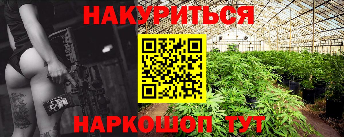 Конопля гибрид Ханты-Мансийск